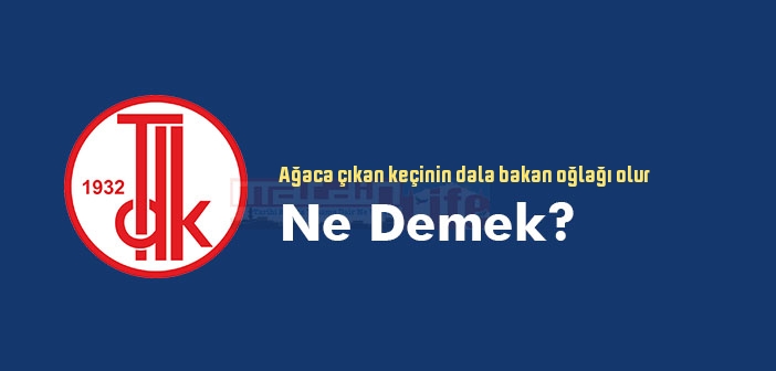 Ağaca çıkan keçinin dala bakan oğlağı olur ne demek? Atasözünün anlamı nedir?