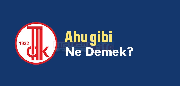 Ahu gibi ne demek? Ahu gibi sözünün anlamı nedir?