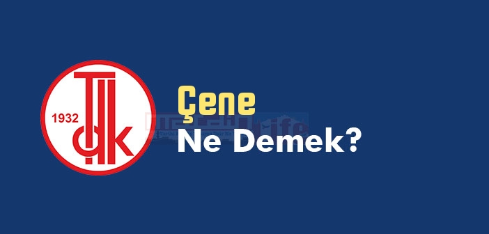 Cene Ne Demek Tdk Ya Gore Cene Kelime Anlami Nedir Cene Sozluk Anlami