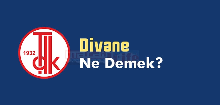 Divane ne demek? TDK'ya göre Divane kelime anlamı nedir? Divane sözlük anlamı