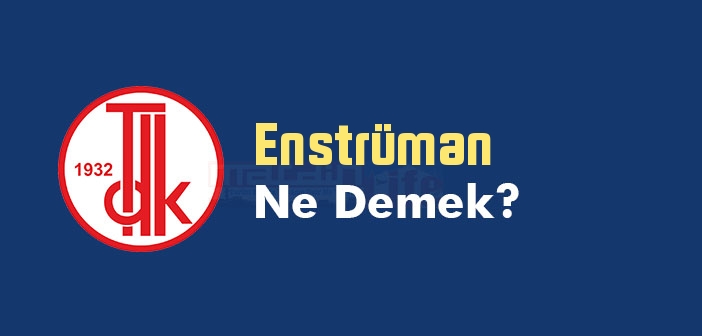 Enstruman Kelime Anlami Nedir Tdk Ya Gore Enstruman Ne Demek Enstruman Sozluk Anlami