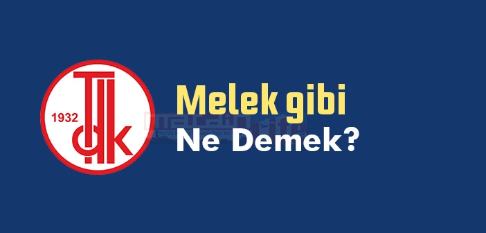 Melek ismini anlamı ne?