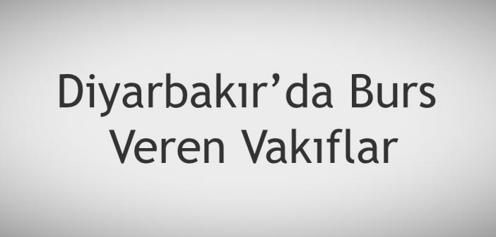 guncel 2021 diyarbakir da ogrencilere burs veren vakif dernek ve kurumlarin listesi burs basvurulari nasil yapilir burs basvuru formlari