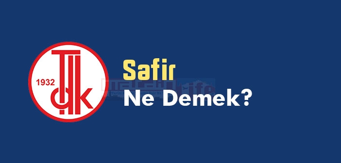 Lutein ne demek kelime anlamı?