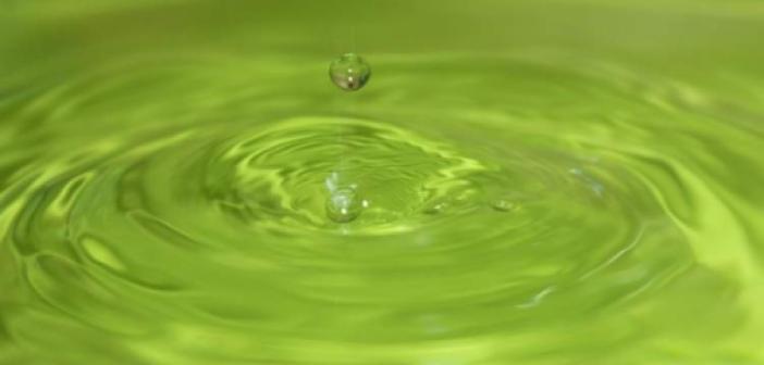 Rüyada Yeşil Su Görmek ne anlama gelir? Rüyada Yeşil Su Görmek ne demek?