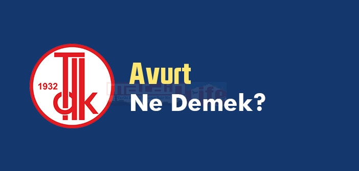 Avurt ne demek? Avurt TDK sözlük anlamı nedir?