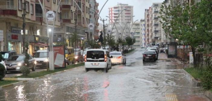 Mardin'de yoğun yağış sevince neden oldu