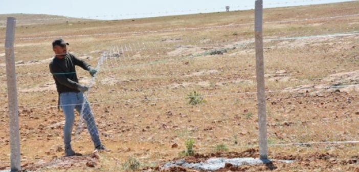 Kızıltepe'de Hayvan Barınağı Yapımı Sürüyor