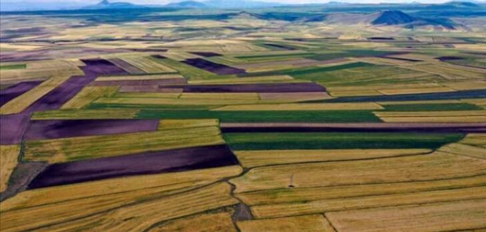 Hazineye ait tarım arazileri için kira duyurusu