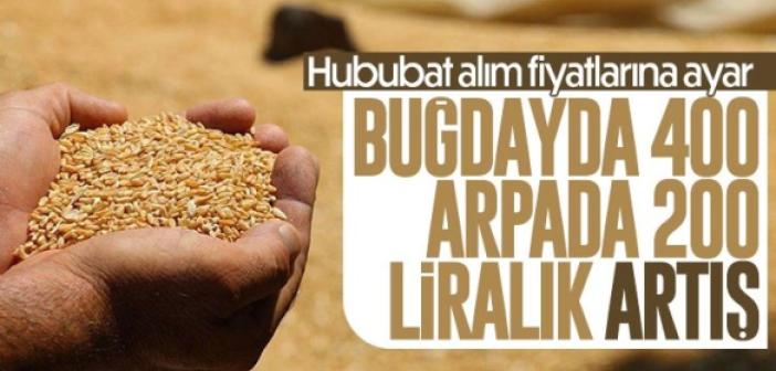 TMO hububat alım fiyatları güncellendi