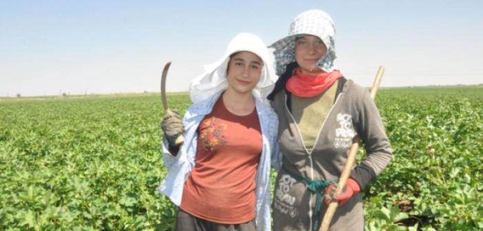 Kavurucu sıcakta ailelerine destek olmak için çalışıyorlar