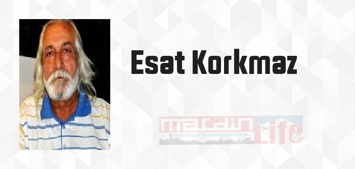 Esat Korkmaz kimdir? Esat Korkmaz kitapları ve sözleri