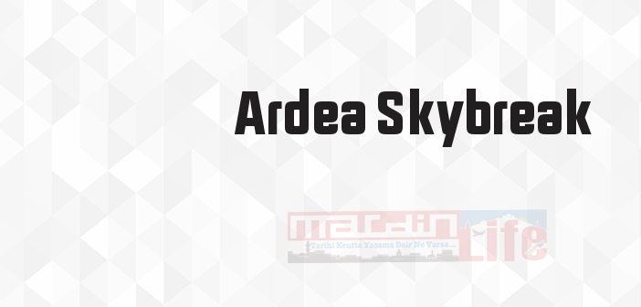 Ardea Skybreak kimdir? Ardea Skybreak kitapları ve sözleri