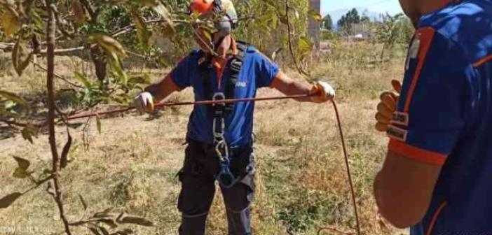 20 metrelik kuyuya düşen kediyi AFAD ekibi kurtardı