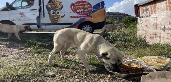 Eskişehirli firmadan sokak hayvanlarına özel gün yemeği