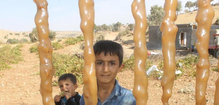 Mardin'de bağbozumu heyecanı başladı