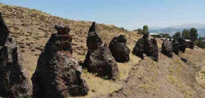 Asırlık ’Nemrut Develeri’ yok olma tehlikesiyle karşı karşıya