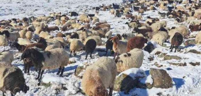 Türkiye’nin en yüksek rakımlı köyüne mevsimin ilk karı yağdı