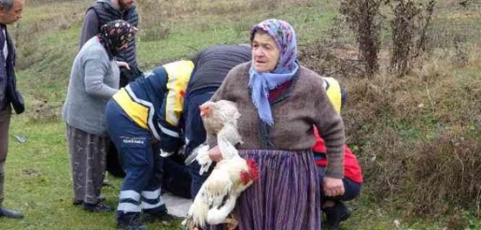 Ekipler yaralılar, köylü kadınlar tavuklar için seferber oldu