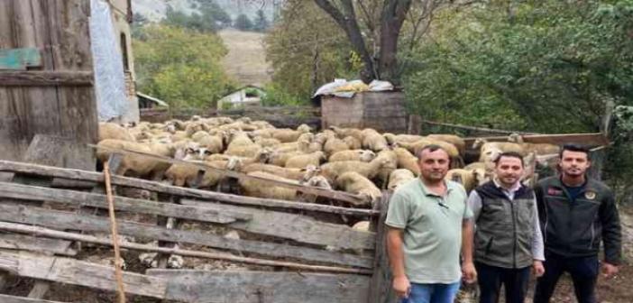 Bolu’da 70 aileye 4 milyon 600 bin TL destek kredisi verildi