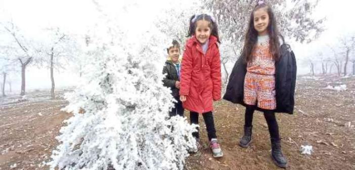 Bitlis’te kırağı tutan ağaçlar kartpostallık görüntü oluşturdu