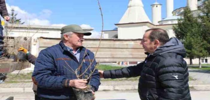 Bolu Belediyesi mahallelerde fidan dağıtıyor