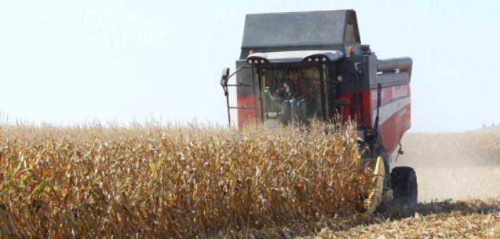 DEDAŞ'ın yüksek faturaları Mısır üretimini durdurdu