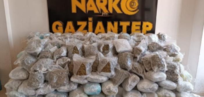 Gaziantep’te 81 kilo shunk ele geçirildi