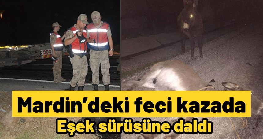 Otomobil eşek sürüsüne daldı; 1 kişi yaralandı 1 eşek  telef oldu