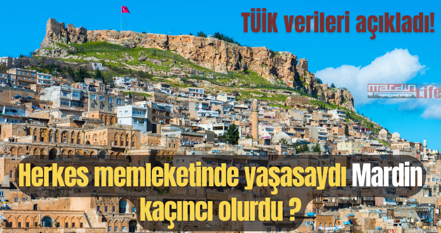 Herkes memleketinde yaşasaydı Mardin kaçıncı olurdu ?