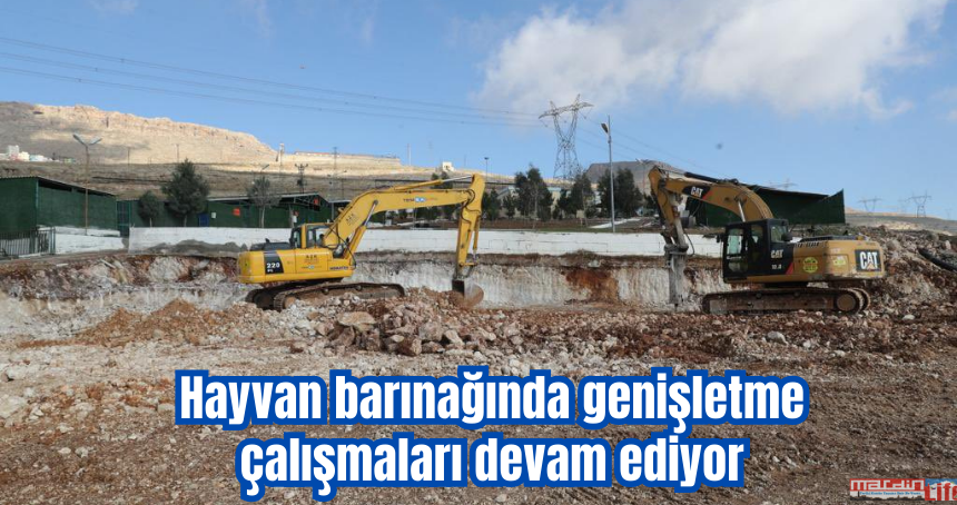 Hayvan barınağında genişletme çalışmaları devam ediyor