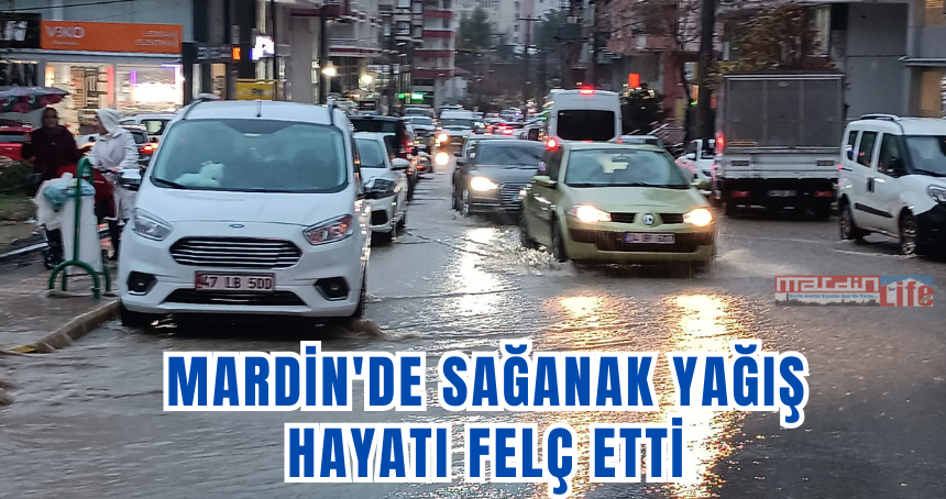 Mardin'de sağanak yağış hayatı felç etti