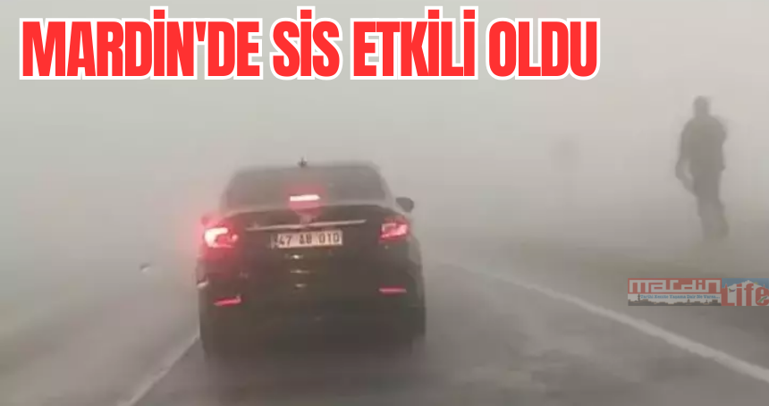 Mardin'de sis etkili oldu