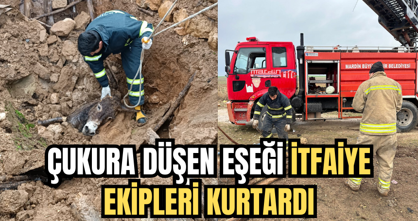 Çukura düşen eşeği itfaiye ekipleri kurtardı