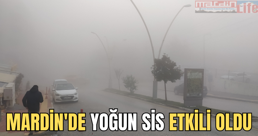 Mardin'de yoğun sis etkili oldu