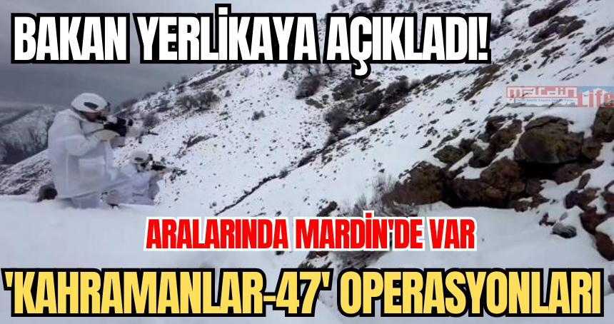 Bakan Yerlikaya açıkladı! operasyonlarda Mardin de var