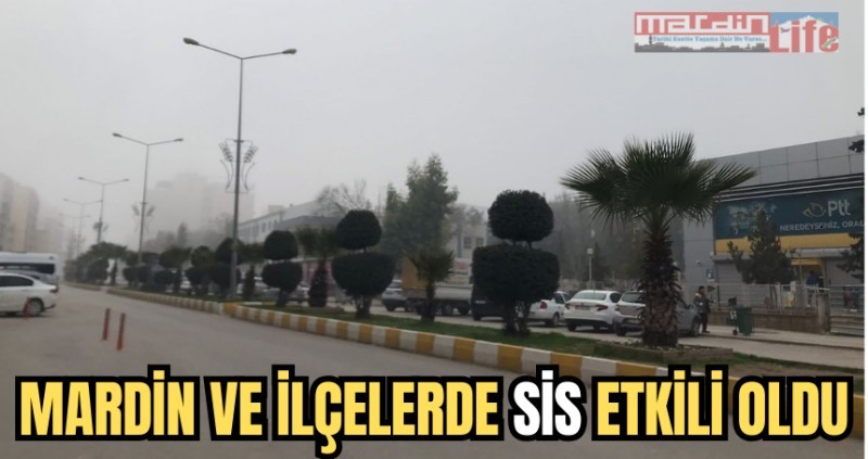 Mardin ve ilçelerde sis etkili oldu