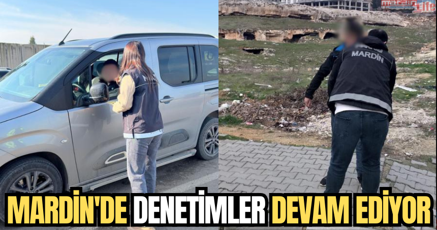 Mardin'de denetimler devam ediyor