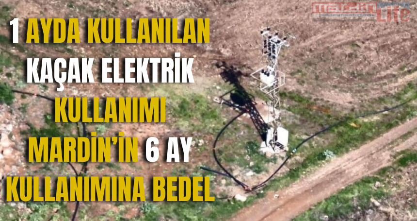 Tarımsal alanda bir ayda kullanılan kaçak elektrik kullanımı Mardin’in 6 ay kullanımına bedel