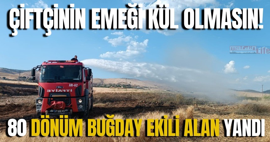 80 dönüm buğday ekili alan daha yandı