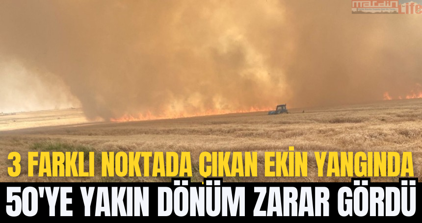 3 farklı noktada çıkan ekin yangında bin 500’e yakın dönüm zarar gördü