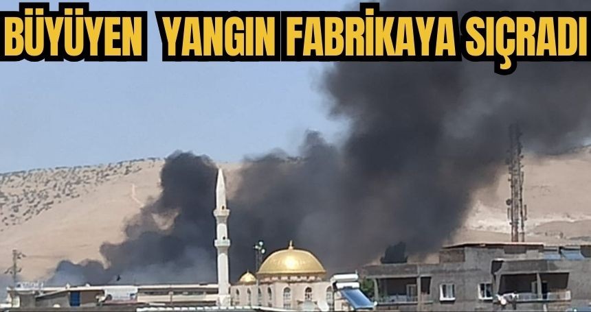 Büyüyen anız yangını fabrikaya sıçradı!