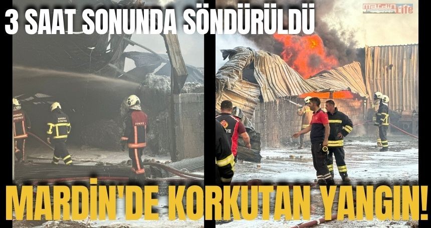 Mardin'de korkutan yangın!