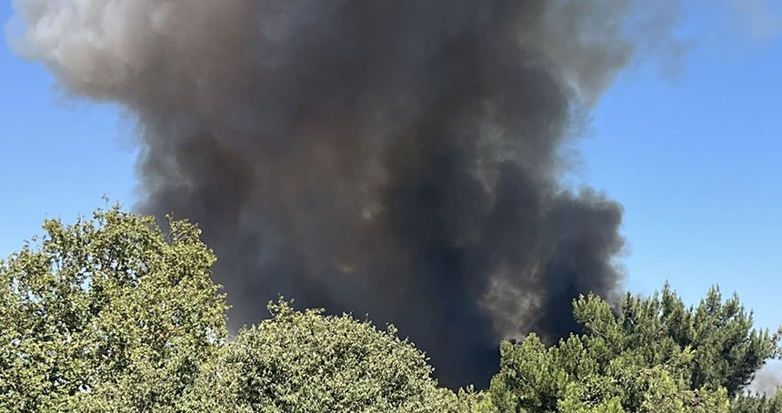 Antalya'da ağaçlık alanda yangın