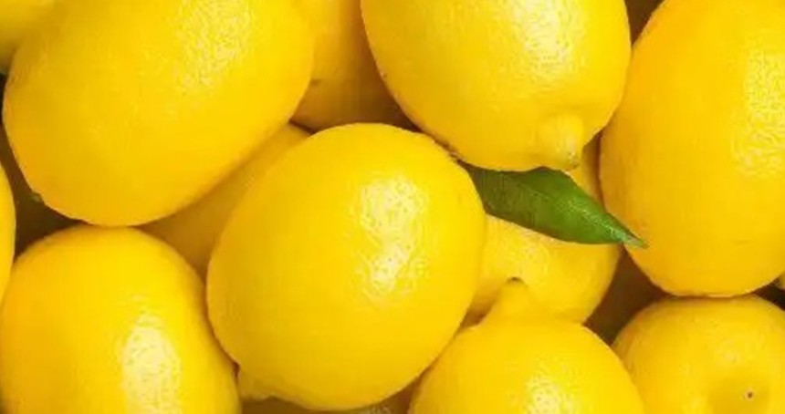 Mersin'de limon depolarına denetim