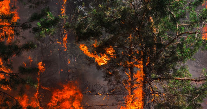 ABD'de çıkan orman yangınlarında 139 bin dönümlük alan yandı