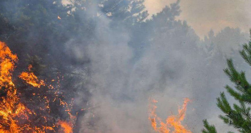 Antalya'da orman yangını çıktı