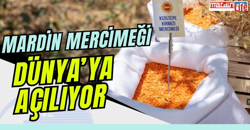 Mardin Mercimeği Dünyaya Açılıyor