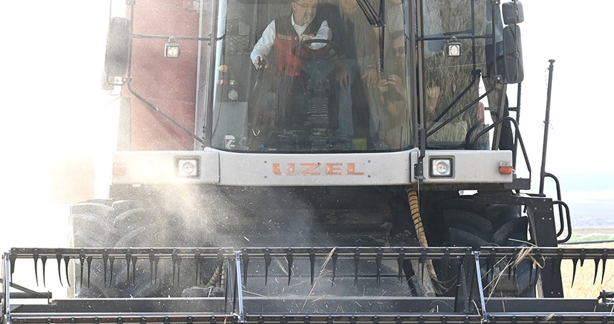 Eskişehir'de yerli buğday tohumların hasadı yapıldı