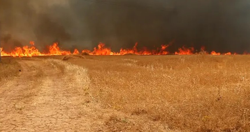 Osmaniye'de makilik alanda yangın 